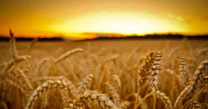 Sobre o Dízimo e a teologia da prosperidade